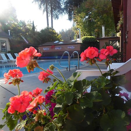 Riverlane Resort Guerneville Εξωτερικό φωτογραφία