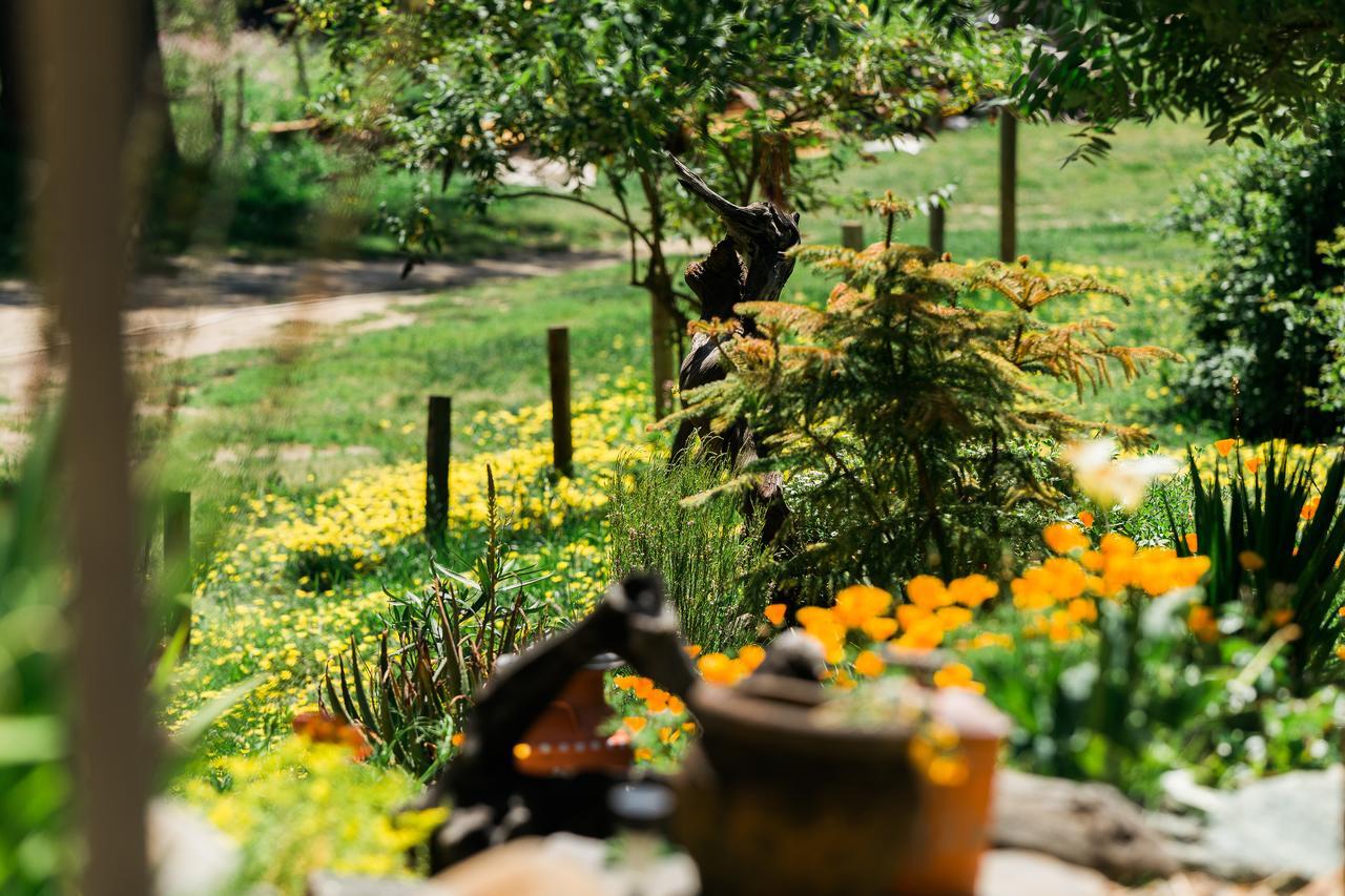 Riverlane Resort Guerneville Εξωτερικό φωτογραφία