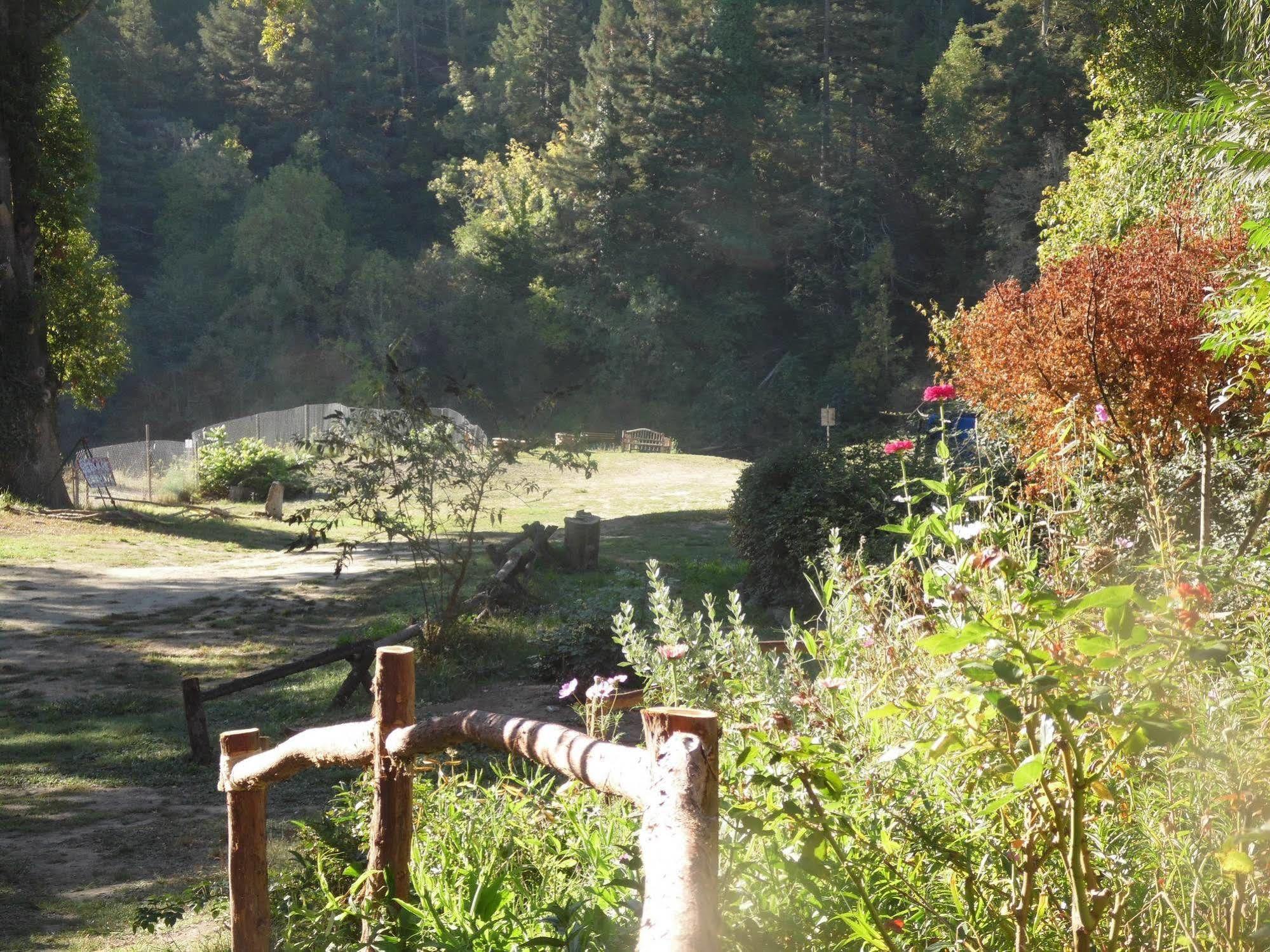 Riverlane Resort Guerneville Εξωτερικό φωτογραφία
